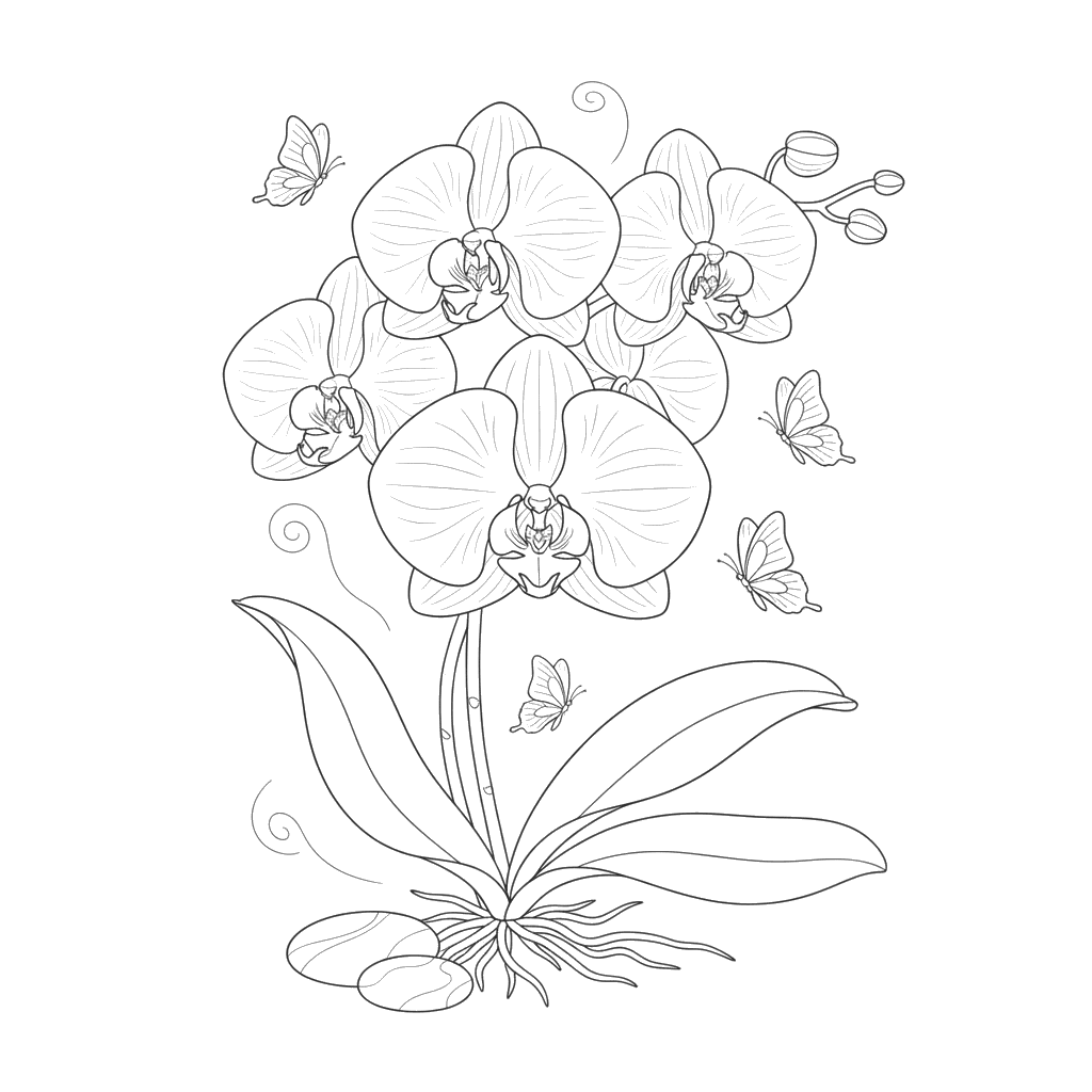 Blooming Orchid Coloring Page