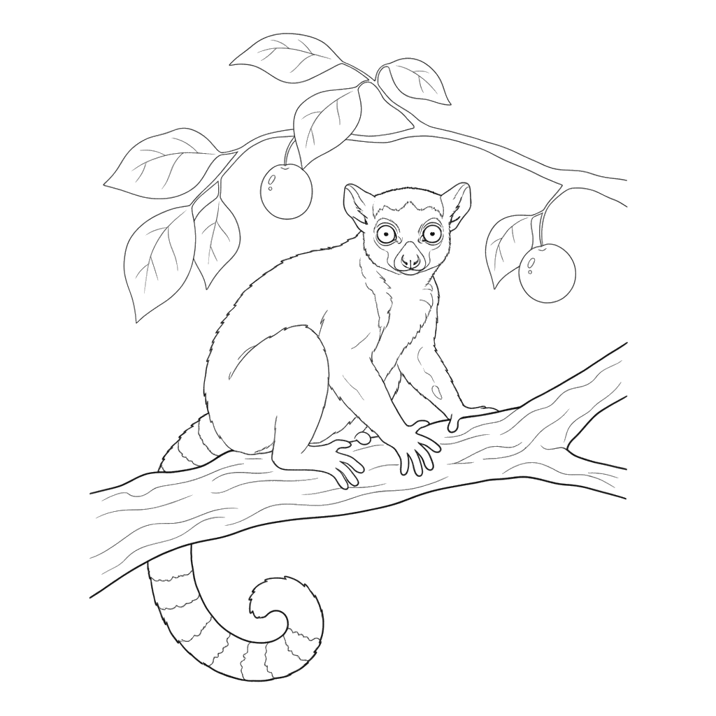 Lemur on Tree Coloring Page