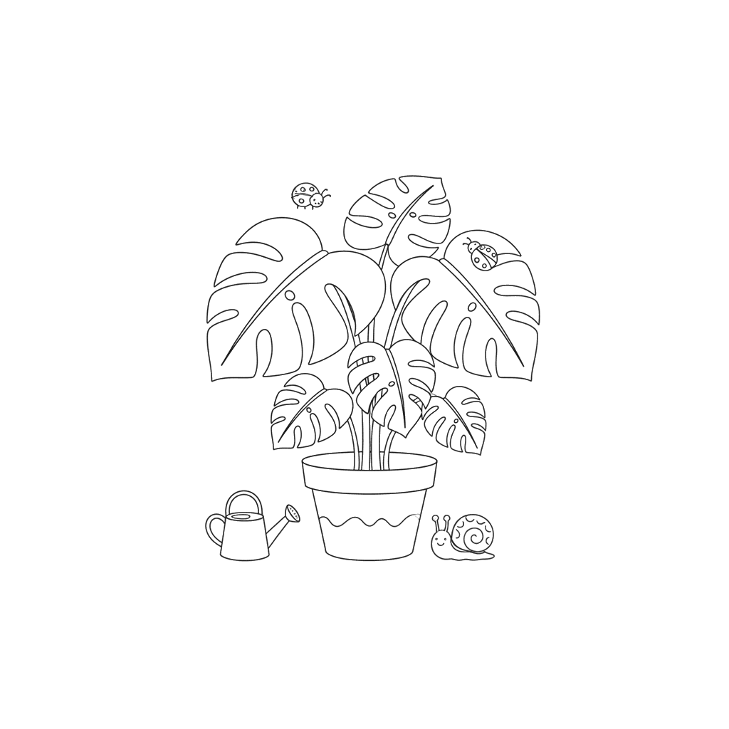 Monstera Plant Coloring Page