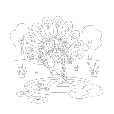 Peacock Drinking Water by a Pond Coloring Page