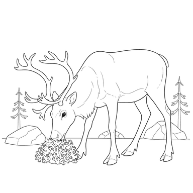Reindeer Eating Moss Coloring Page